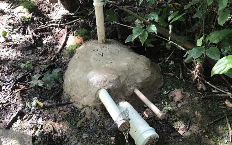 Guaporema celebra a conclusão do projeto de proteção de 20 nascentes nas áreas rurais